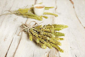 
                  
                    Aroma Olymp Bio Griechischer Bergtee ganze Pflanze
                  
                